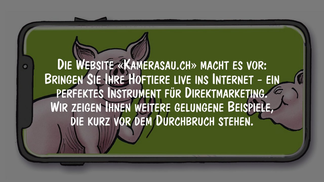 Kamerausau.ch zeigt Hoftiere im Internet. Wir zeigen weitere Beispiele fürs Direktmarketing. Cartoon von Marco Ratschiller/Karma