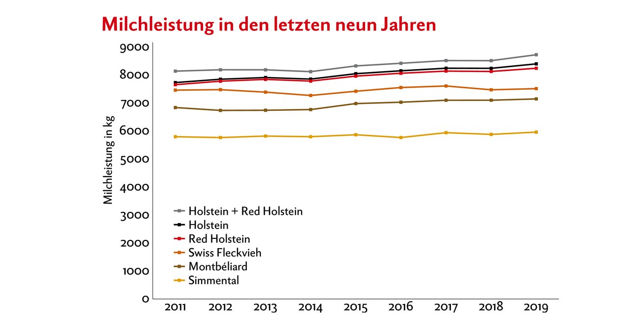 Die Milchleistung der Holsteinkühe ist immer noch im Steigen begriffen, während sie bei den dargestellten Zweinutzungsrassen kaum ansteigt. Quelle: swissherdbook