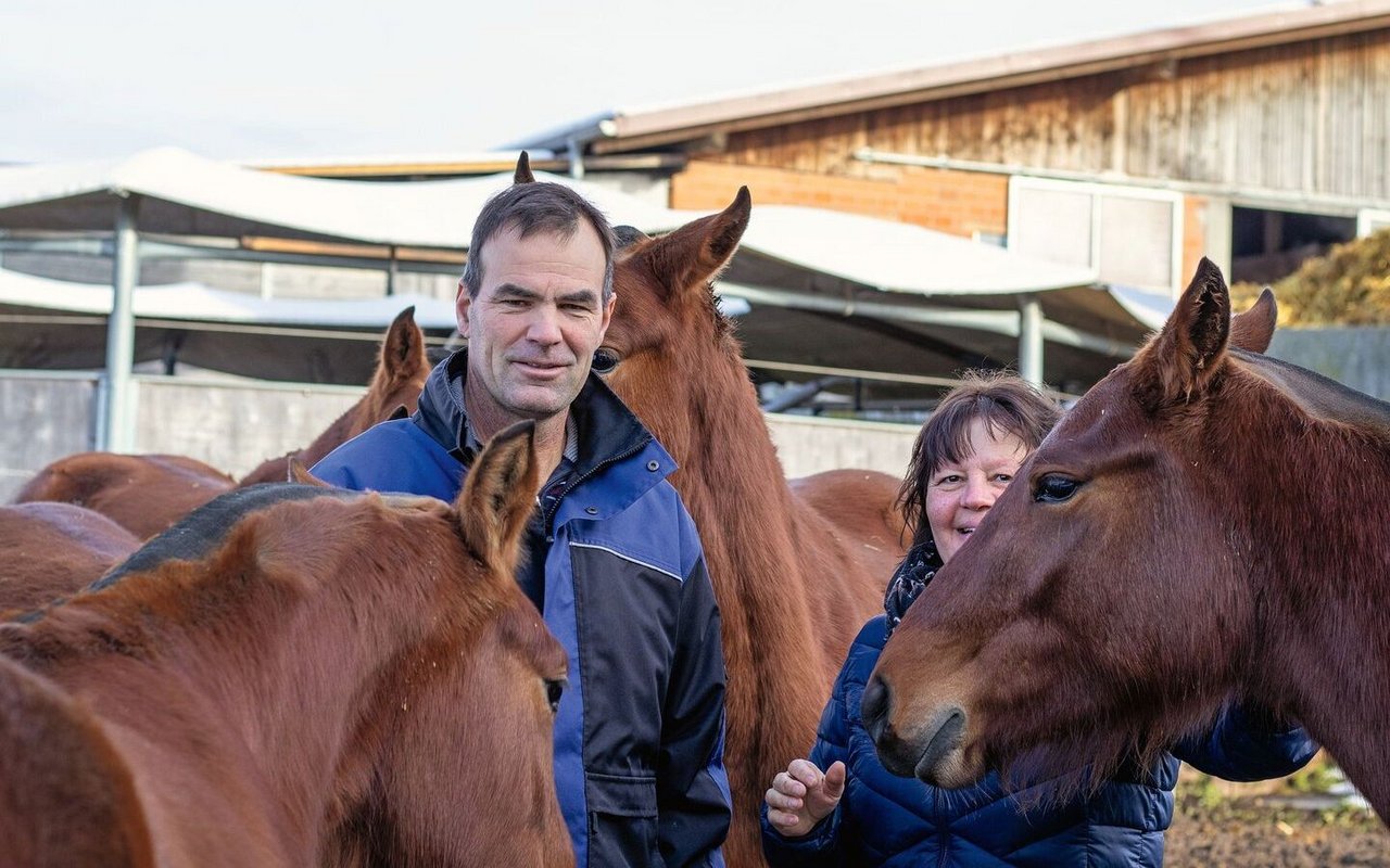 Christina und Bernhard Wüthrich mit ihrer Freibergeraufzucht. Im Hintergrund sieht man die gedeckte Führanlage.