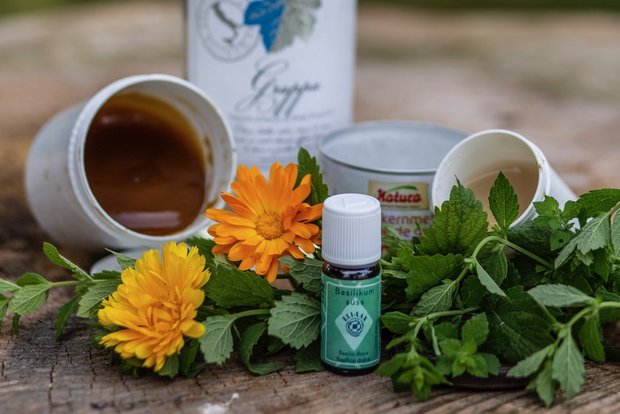 Mit Phytotherapie können zum Beispiel Verdauungsstörungen, leichtere Mastitiden, Milchstau und Blessuren behandelt werden.. 