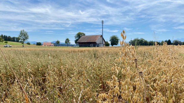 Bauernhof der Jucker Farm AG bei Mönchaltorf ZH.