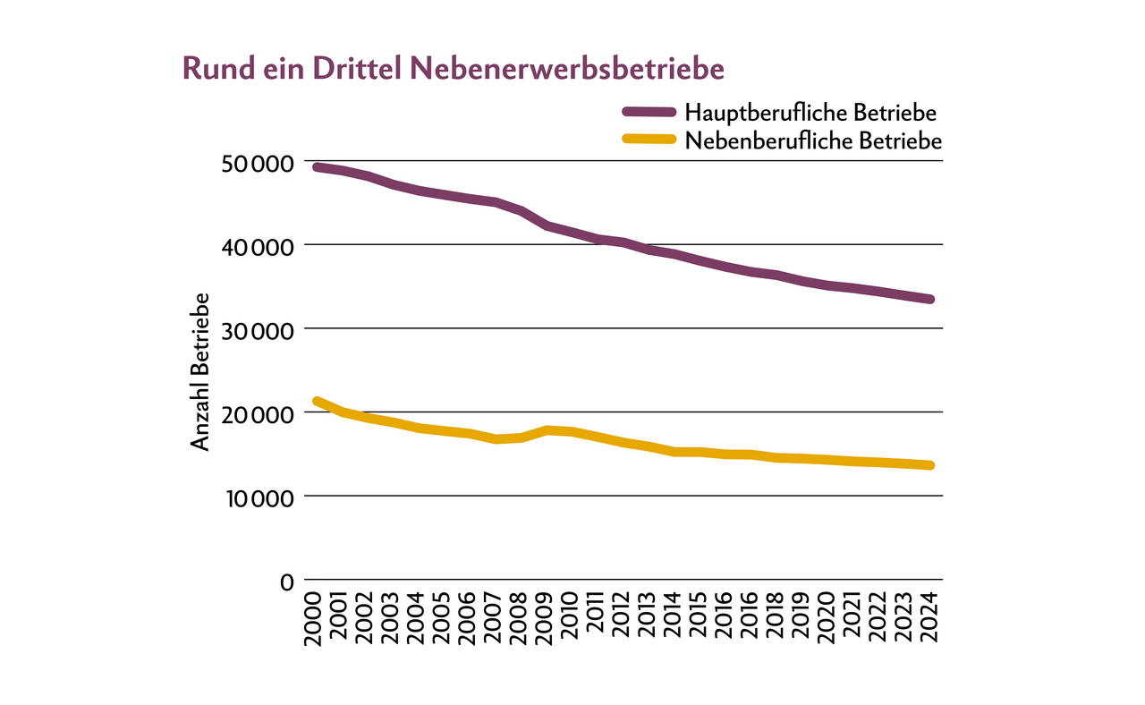 Die Anzahl der Betriebe sinkt seit Jahren. Nebenerwerbsbetriebe machen rund einen Drittel aus.