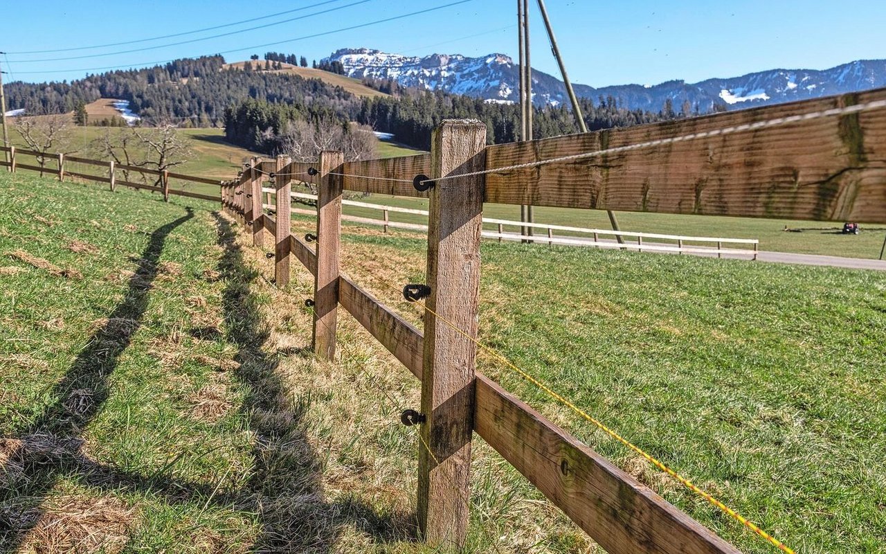 Die Kälberweide ist mit zwei Latten und drei Drähten erstellt.