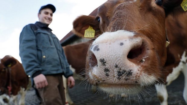 Young Farmer Othmar Gut bewirtschaftet den Hof "Vorder Ludige" allein. Sein Vater und Kollegen helfen bei Arbeitsspitzen. Gerne würde er einen Laufstall für seine Milchkühe bauen. Bild: Ruben Sprich