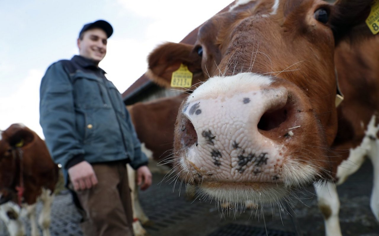 Young Farmer Othmar Gut bewirtschaftet den Hof "Vorder Ludige" allein. Sein Vater und Kollegen helfen bei Arbeitsspitzen. Gerne würde er einen Laufstall für seine Milchkühe bauen. Bild: Ruben Sprich