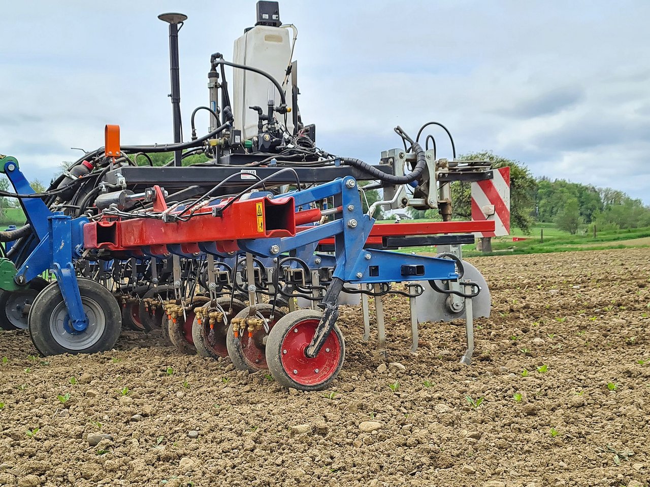 Hier wird nur ein schmales Band über der Zuckerrübenreihe chemisch gegen Unkraut behandelt. Die übrige Fläche wird mechanisch behandelt. Der Mittelaufwand kann um 50 bis 70 Prozent reduziert werden. Bild: die grüne/Beat Schmid