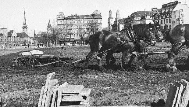 Seit ihrer Einführung sicherte die Kartoffel die Ernährung: Im Zweiten Weltkrieg wurde auf der Bellevue-Wiese städtisches Land für ihren Anbau genutzt.