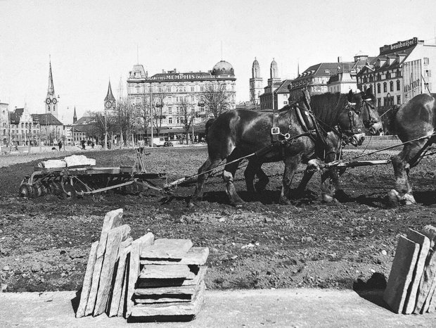 Seit ihrer Einführung sicherte die Kartoffel die Ernährung: Im Zweiten Weltkrieg wurde auf der Bellevue-Wiese städtisches Land für ihren Anbau genutzt.