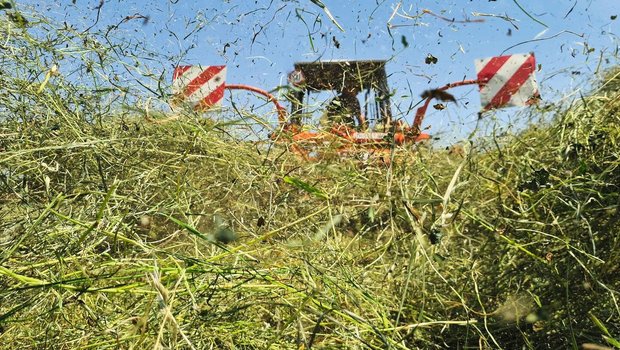 Bodenheu ist erst ab 82 Prozent lagerstabil. Dazu muss es auch dann noch bearbeitet werden, wenn Feinteile bröckeln und als Feldverluste den Futtergehalt schmälern.