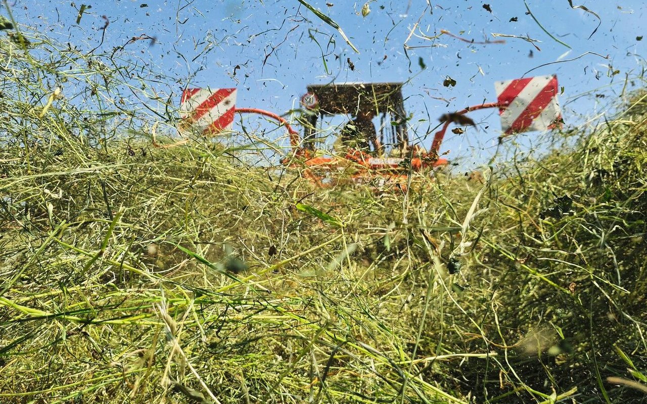 Bodenheu ist erst ab 82 Prozent lagerstabil. Dazu muss es auch dann noch bearbeitet werden, wenn Feinteile bröckeln und als Feldverluste den Futtergehalt schmälern.