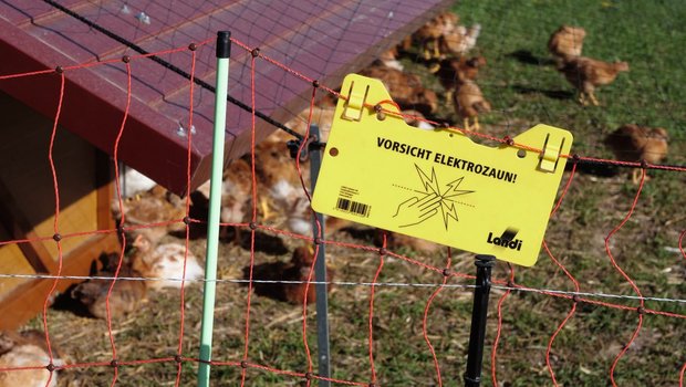 Weidezaun-Überwachung per Smartphone Die Hühnerställe sind ringsum eingezäunt. Mit dem Smartphone lässt sichder Viehhüter ausschalten. Nur so gelangt man in die Anlage. Bild: Martina Rüegger