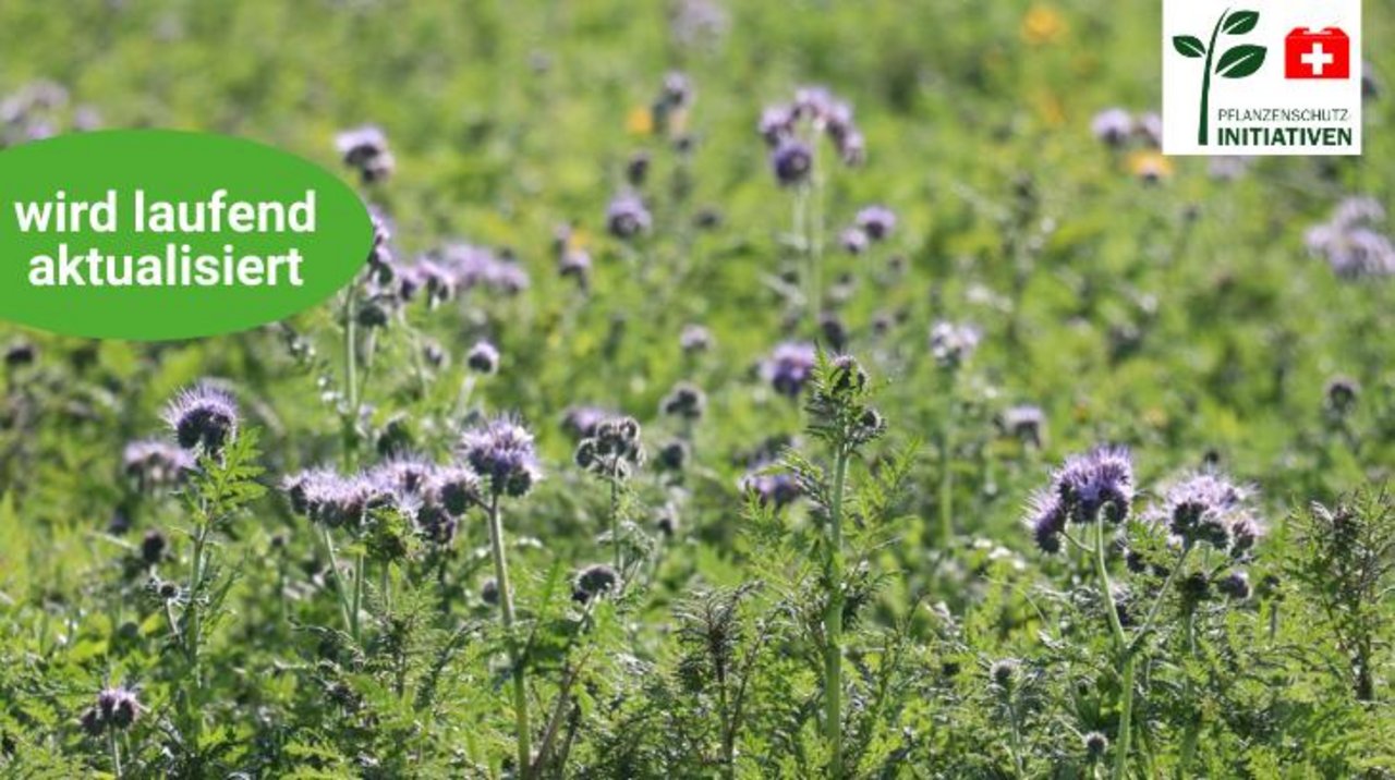 Die BauernZeitung zeigt im Übersichtsartikel zur Pestizidverbots-Initiative alle relevanten Inhalte für die Abstimmung vom 13. Juni (Bild: BauernZeitung/Ruth Aerni)