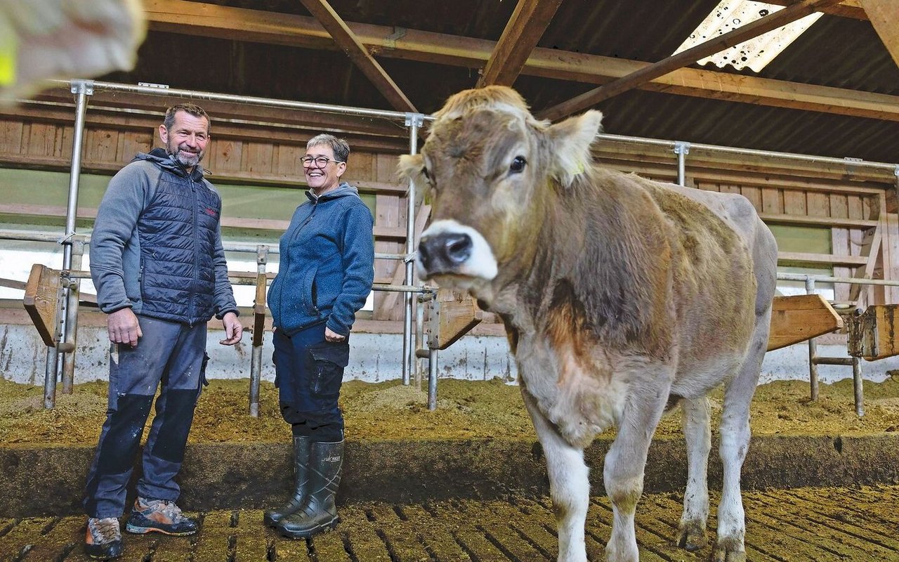 Sepp und Martina Lehner haben im Jahr 2000 einen Stall gebaut, der sich bis heute bewährt hat. 