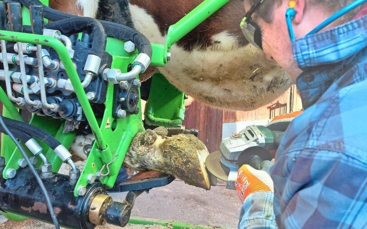 Dieser Klauenstand ermöglicht ergonomisches Arbeiten und eine gute Sicht auf die Klauen.