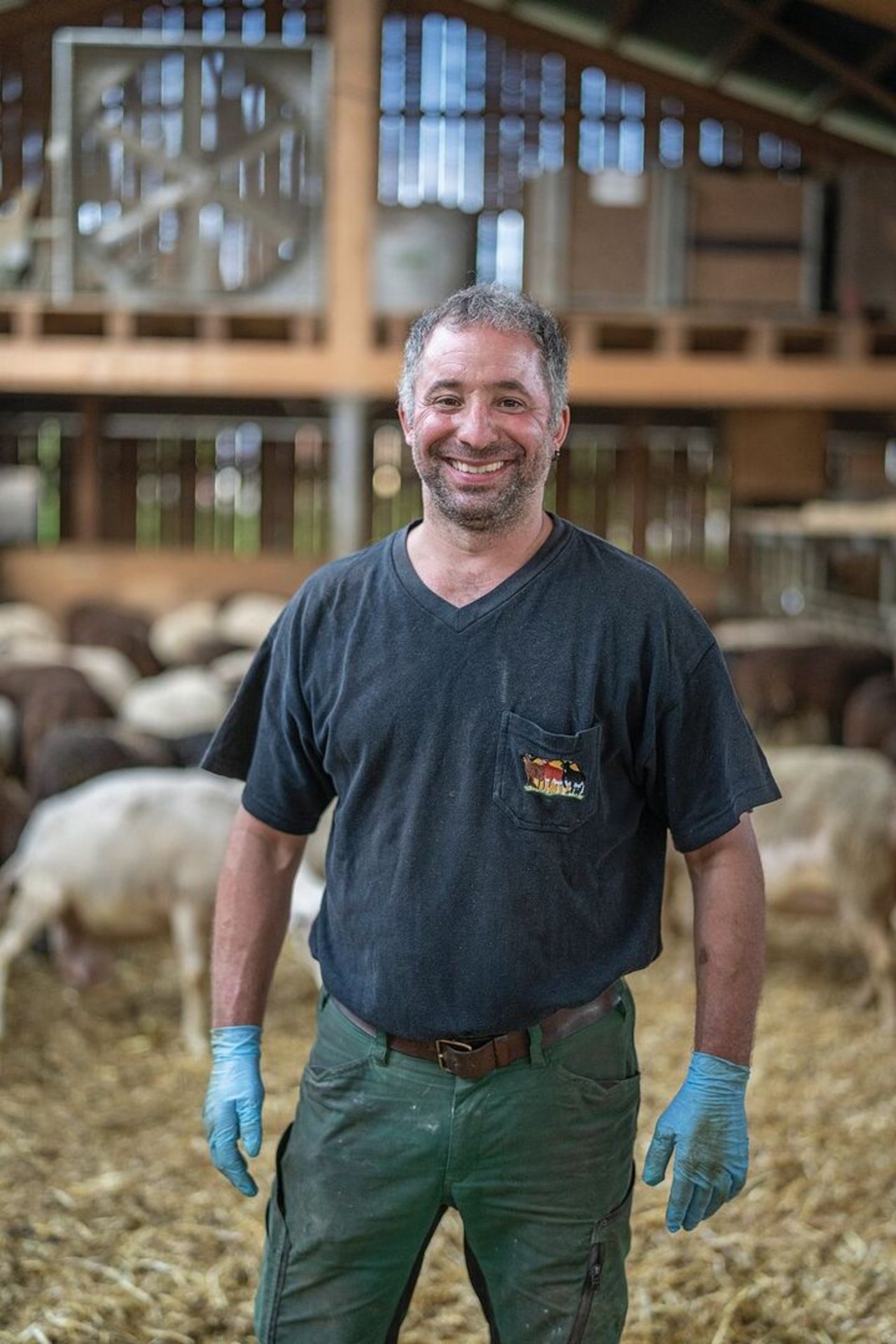 Urs Maier melkt 600 Schafe innerhalb von zwei Stunden. Seine Tiere sind in zwei grossen Hallenställen auf Tiefstreu mit permanentem Auslauf untergebracht.