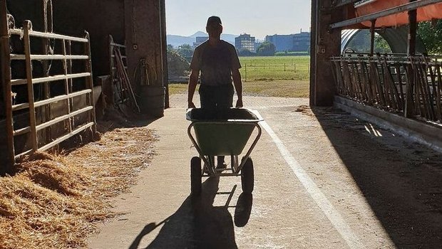 Wenn auf dem Betrieb jemand ausfällt, braucht es kompetente Hilfe.