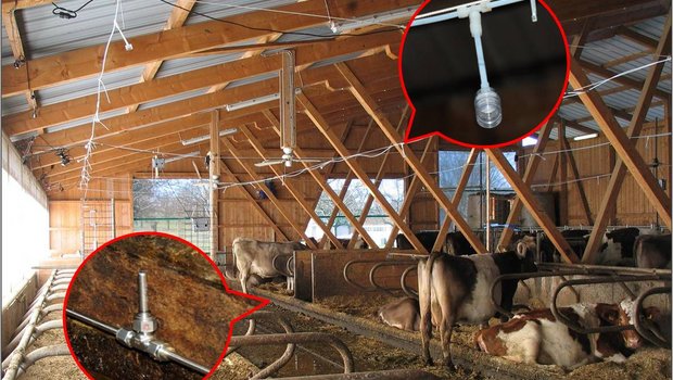Mit den rot hervorgehebenen Einrichtungen werden die Emissionen gemessen. (Bild Agroscope/weitere Bilder Michael Götz)