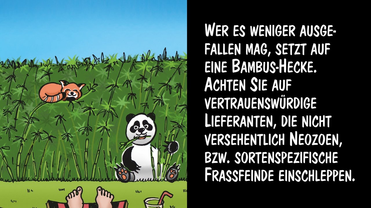 Bei exotischen Pflanzen: Achtung vor eingeschleppten Tieren! Cartoon: Marco Ratschiller/Karma