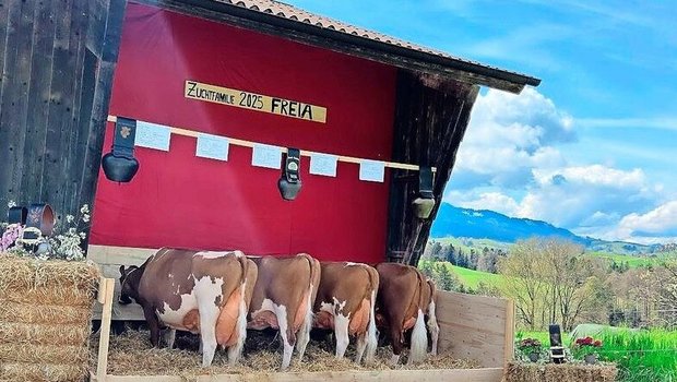 Die starke Zuchtfamilie mit 94 Punkten Pierolet Freia von Florian Nydegger. 
