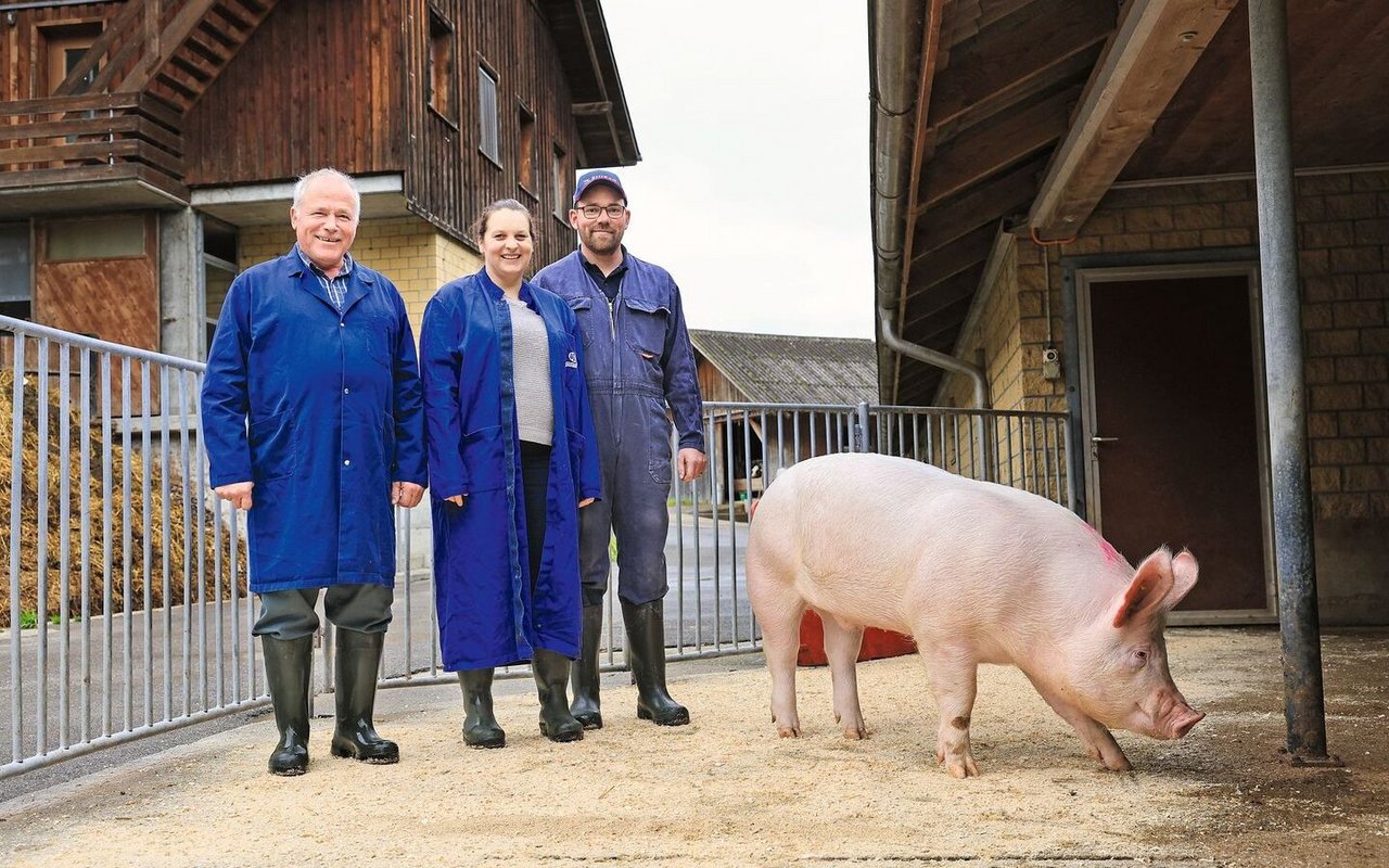 Mit der Schweinezucht hat Fritz Güdel (links) angefangen. Heute läuft der Betrieb über Beat und Sarah Güdel. Mit den Schweinen arbeiten sie gemeinsam.