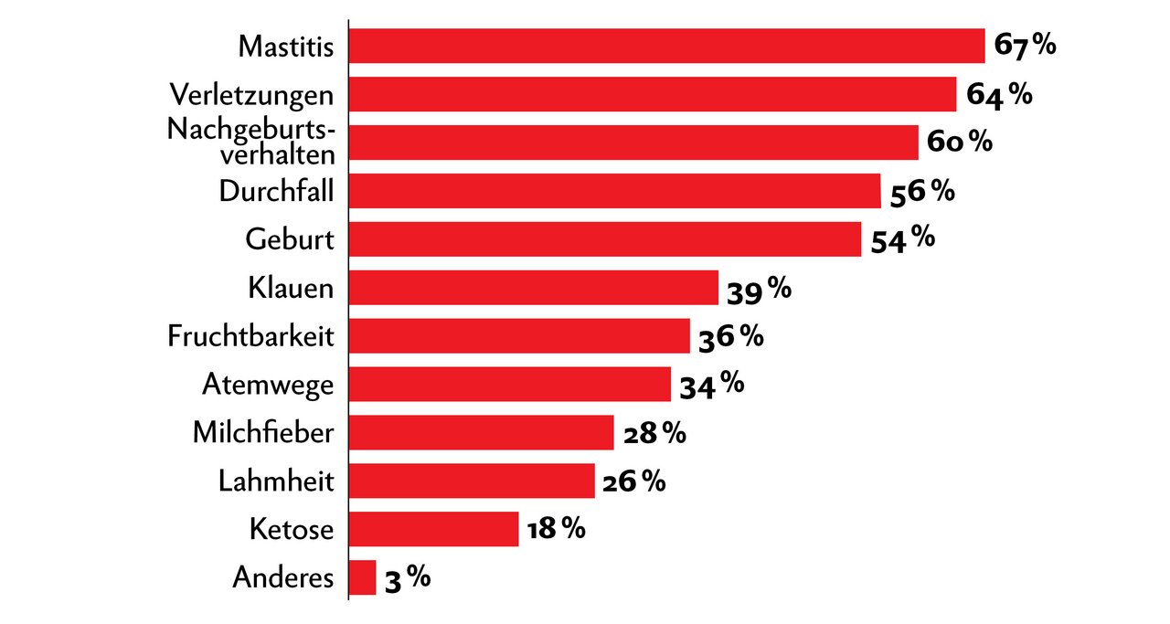 Diejenigen Betriebe, welche Homöopathie einsetzen, wenden die Globuli am häufigsten gegen Mastitis an. Bei dieser Frage waren Mehrfach-Nennungen möglich. Grafik: Nicole Geiser