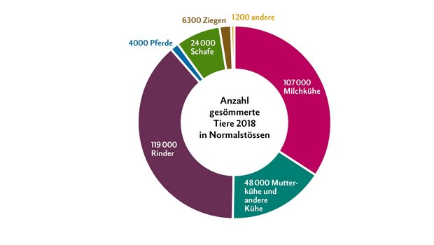 Im Jahr 2018 waren es total 309 000 Normalstösse. Ein Normalstoss entspricht der Sömmerung einer raufutterverzehrenden Grossvieheinheit RGVE während 100 Tagen. Quelle: SAV und BLW. Grafik: Nicole Geiser