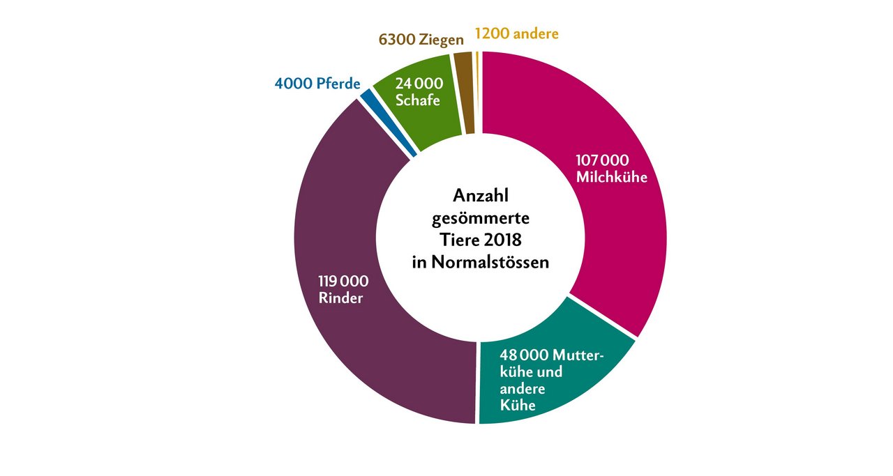 Im Jahr 2018 waren es total 309 000 Normalstösse. Ein Normalstoss entspricht der Sömmerung einer raufutterverzehrenden Grossvieheinheit RGVE während 100 Tagen. Quelle: SAV und BLW. Grafik: Nicole Geiser