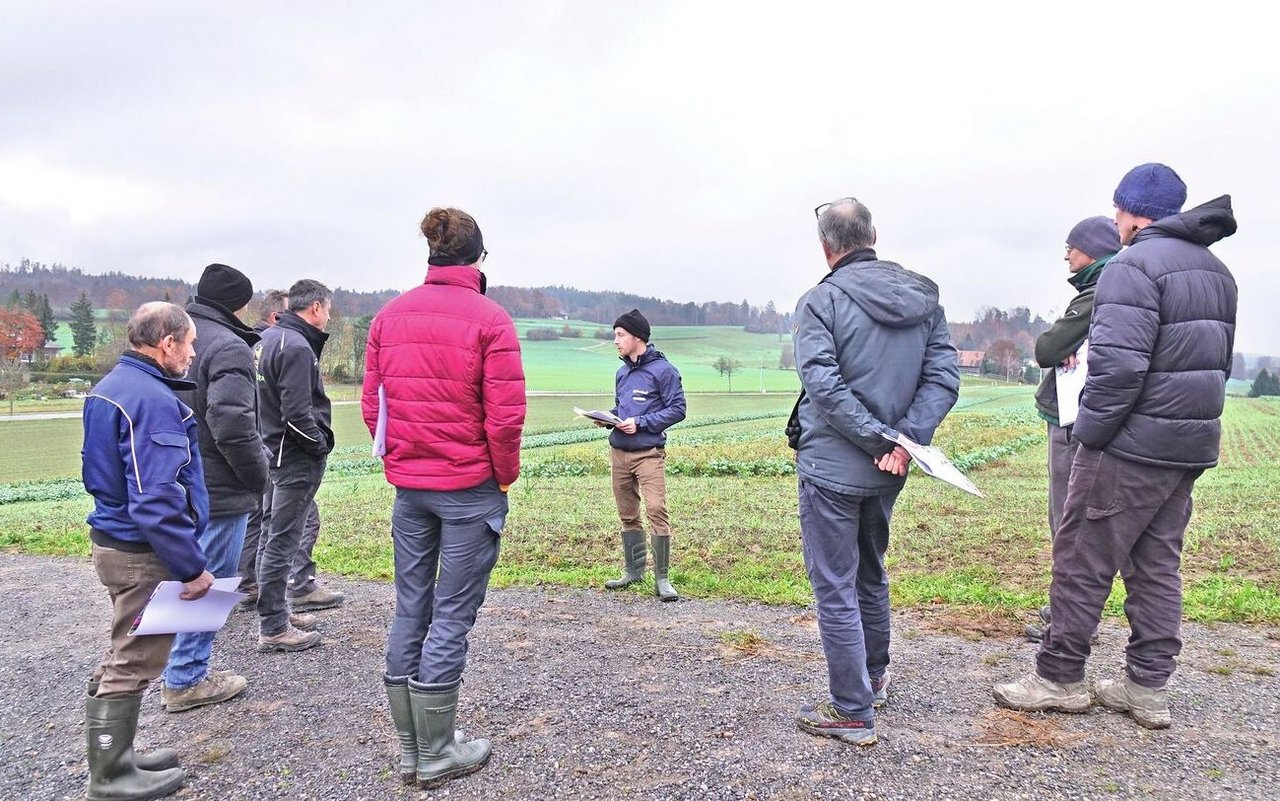 Erster Erfahrungsaustausch zum Streifenanbau im Feldversuch des Birkenhofs im November 2022.