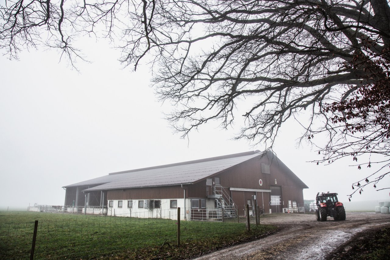 Der Milchviehstall liegt 600 Meter ausserhalb des Dorfkerns. Er ist seit September 2015 in Betrieb.