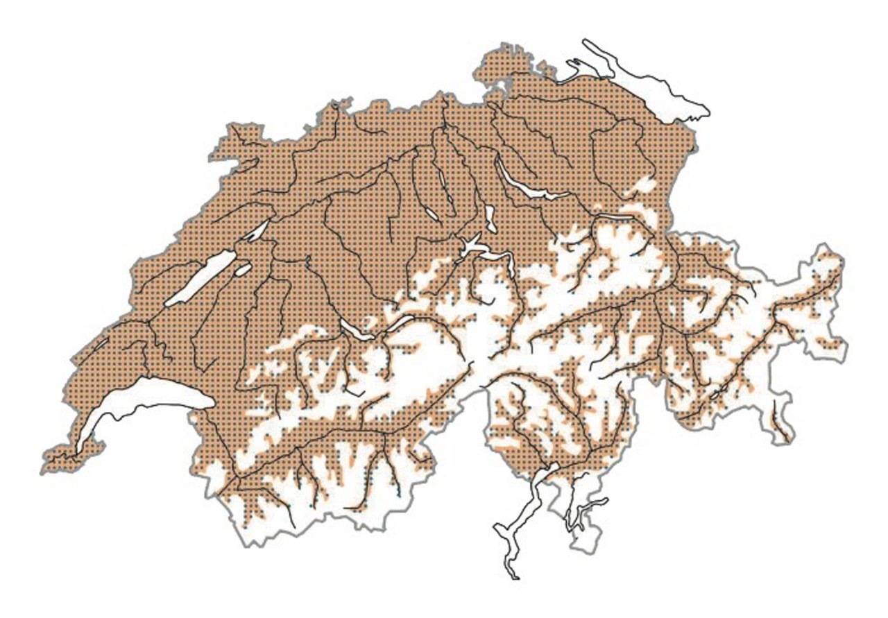 Verbreitung des Spatz in der Schweiz. Zur Brutzeit = Ocker im Winter = Blau zur Zugzeit = Rot Karte: Vogelwarte