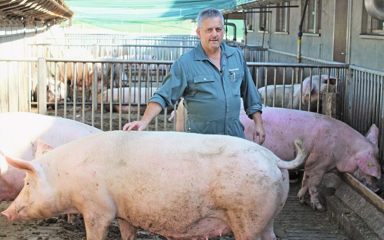 Thomas Kempf hält auf seinem Betrieb 150 Mutterschweine, sowie 578 Mastschweine. Der Landwirt macht sich viele Gedanken über ASP.