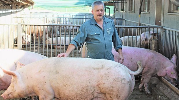 ASP_Thomas_Kempf Thomas Kempf hält auf seinem Betrieb 150 Mutterschweine, sowie 578 Mastschweine. Der Landwirt macht sich viele Gedanken über ASP.