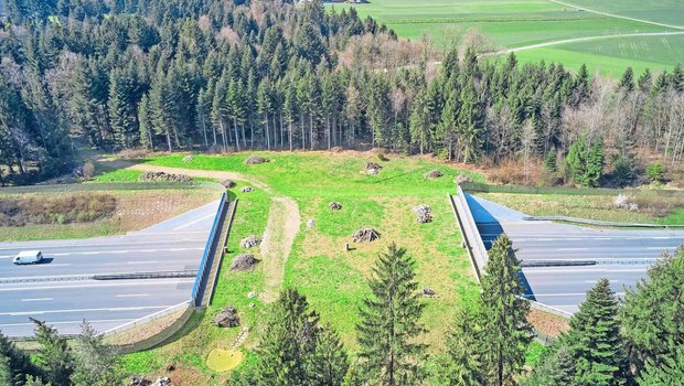 Wildtierpassagen wie hier über die Autobahn A2 bei Neuenkirch sollen die Querung von Barrieren ermöglichen. Aber auch in den Wildtierkorridoren soll möglichst hindernisfreier Durchgang möglich sein. Das kann die Landbewirtschaftung tangieren. 