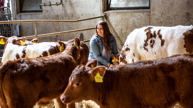 Die Kälber sind auffallend zahm und kommen sofort, wenn Sonja Geiser ruft. Bild: Pia Neuenschwander 