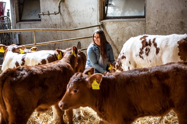 Die Kälber sind auffallend zahm und kommen sofort, wenn Sonja Geiser ruft. Bild: Pia Neuenschwander 