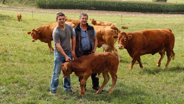 Die Arbeit auf dem Hof von Franz und Anita Burri in Dagmersellen bedingt ein gutes Flair für Rinder. Die Limousin- Tiere sind alle handzahm. Bild: Ruben Sprich