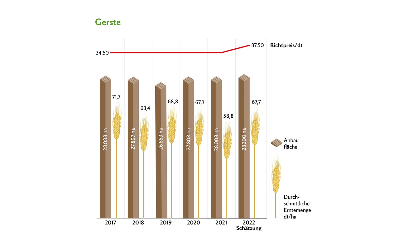 Für die Gerste herrschten ähnliche Erntebedingungen wie für den Weizen. Die Anbauflächen blieben ziemlich stabil und es werden höhere Erträge als 2021 erwartet.