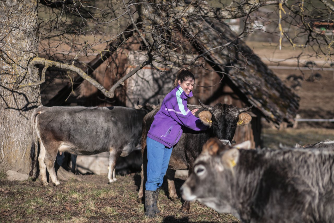 Anna Böhlen bringt die fünf Mutterkühe mit ihren Kälbern auf die Weide. Die Fleisch-Direktvermarktung ist aktuell der wichtigste Betriebszweig.