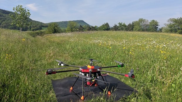 Drohnen sollen Pflanzen erkennen und zählen. (Bild ETH)