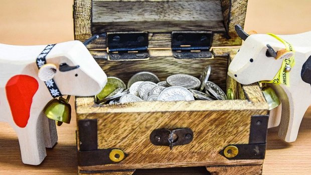 Die Hofübergabe ist kein Kinderspiel. Es geht um viel Geld, für die abtretende Generation um die Altersvorsorge und für die übernehmende um die Zukunft.
