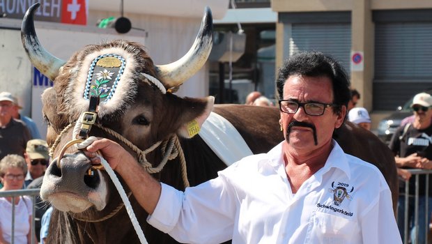 Urs Nussbaumer ist ganz vernarrt in seinen Stier. (Bild Hans Rüssli)