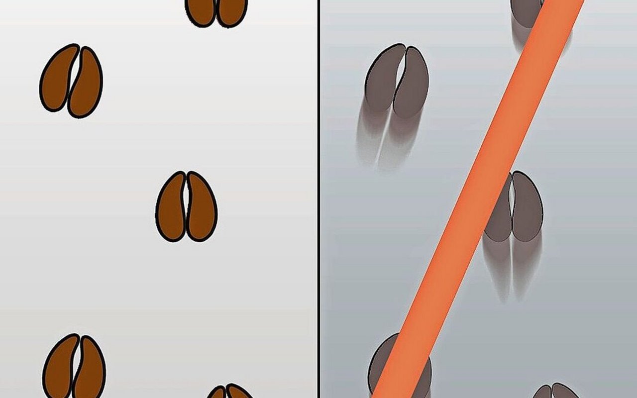 Am Boden sind keine Bremsspuren zu sehen.