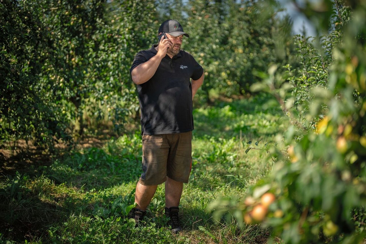«Die grösste Herausforderung ist, die Riesenmenge Äpfel effizient aus der Niederstamm-Anlage raus zu bekommen», erklärt Thomas Lehner in Braunau TG.