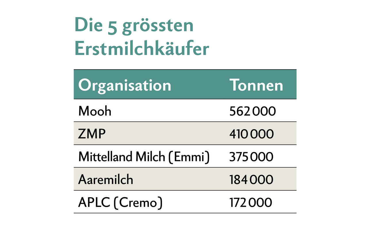 Tabelle mit den 5 grössten Erstmilchkäufern Mooh, ZMP, Mittelland Milch, Aaremilch und APLC.
