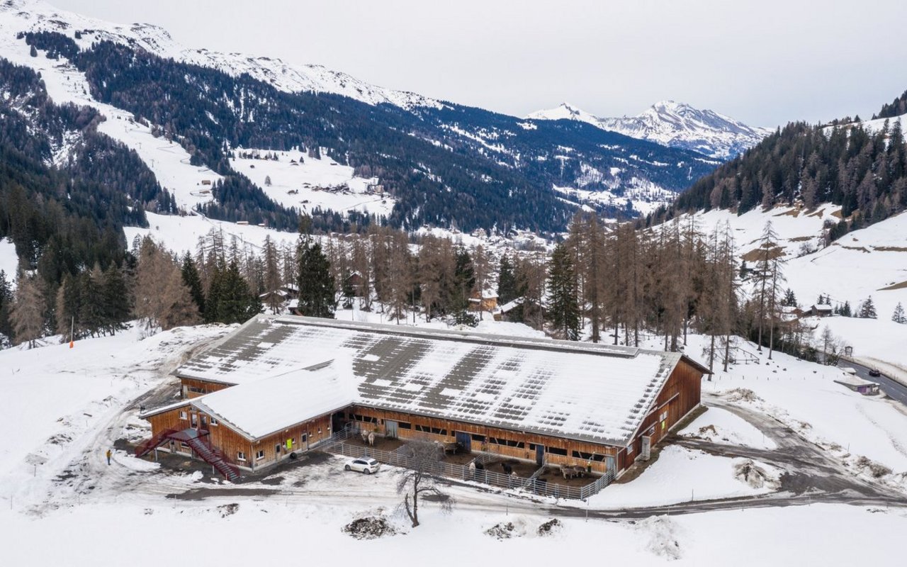 Der Gemeinschaftsstall liegt zwischen Chur und der Lenzerheide. Die gemeinsame Viehhaltung funktioniert nicht nur im Sommer auf der Alp, sondern auch im Winter. 