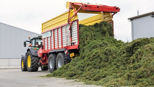 Gras abladen mit Ladewagen