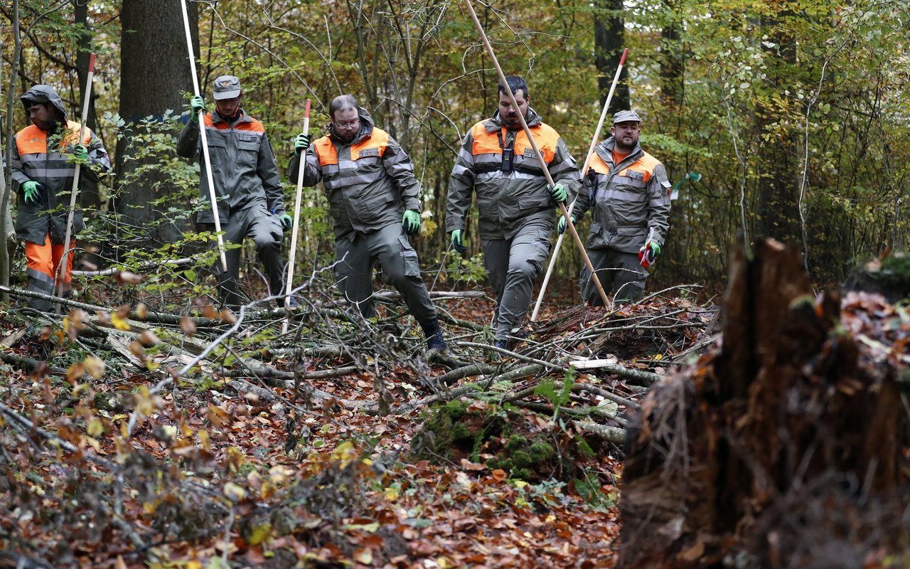 Zivilschützer rücken in einer Reihe, mit Stangen ausgerüstet im Wald vor.