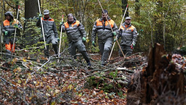 Afrikanische Schweinepest ASP Nosos-Übung Zivilschützer rücken in einer Reihe, mit Stangen ausgerüstet im Wald vor.
