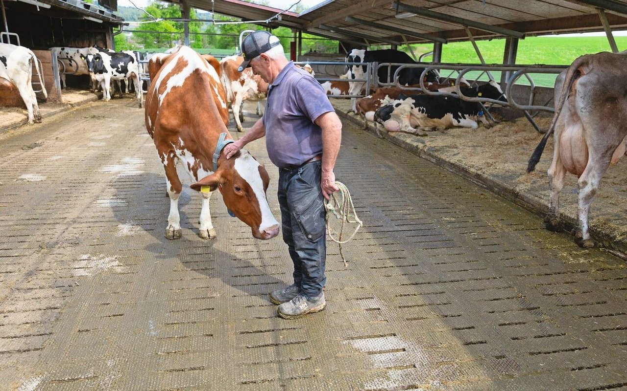 Milchproduktion ist eines der Standbeine der Stöckweid. Jean-Jacques Duperrex ist leidenschaftlicher Viehzüchter.