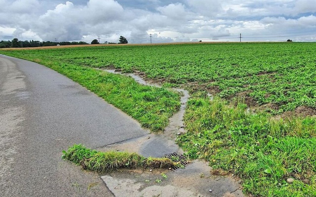 Niederschläge können Pflanzenschutzmittel und Dünger in Schächte leiten.